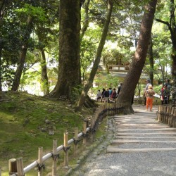 Aumenta o número de estrangeiros no Kenrokuen
